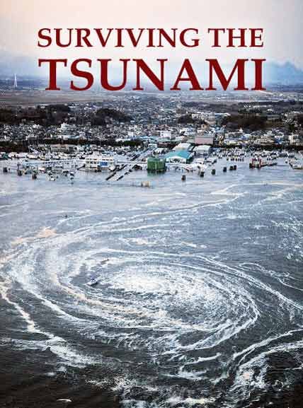 surviving the tsunami