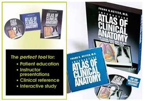 interactive atlas of clinical anatomy