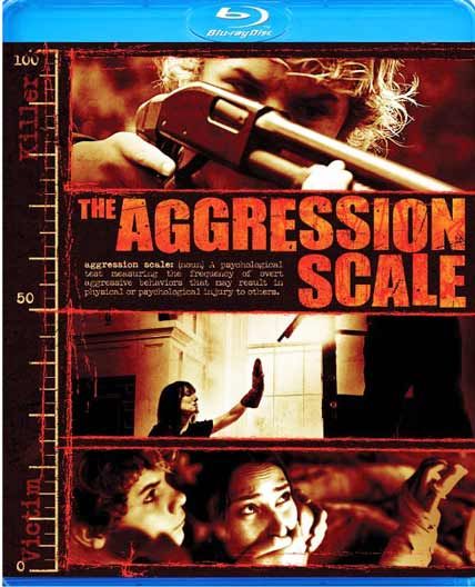 aggression scale