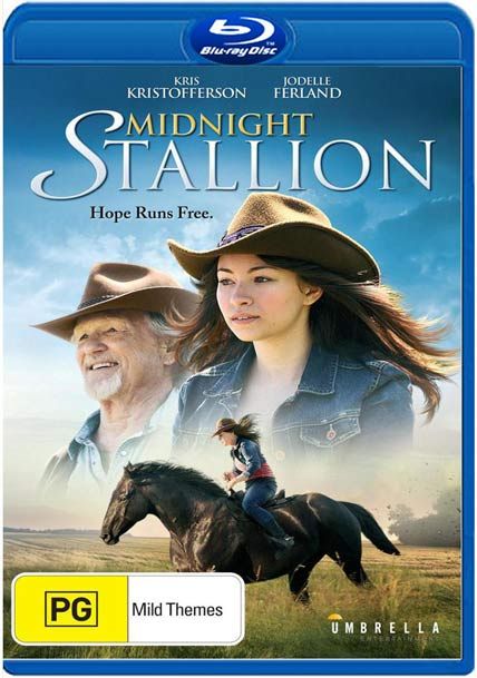 midnight stallion