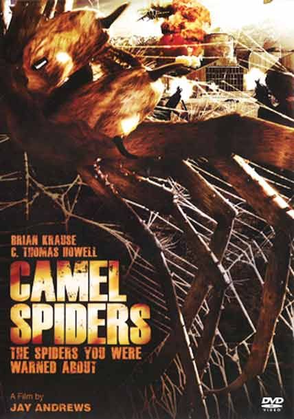 camel spiders