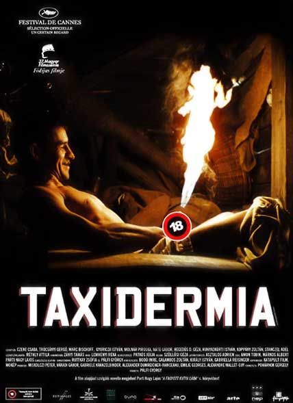 taxidermia